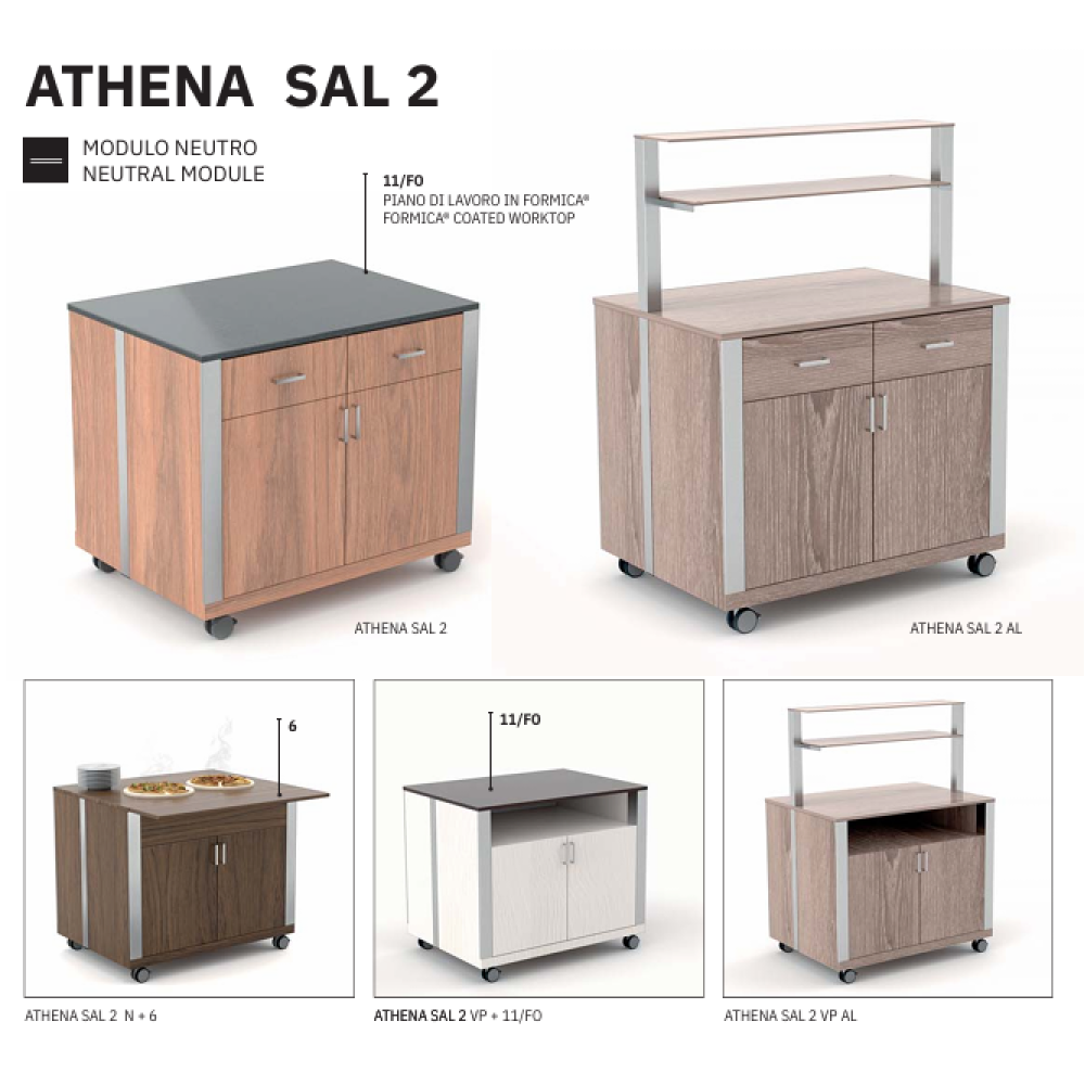 NEUTRAL MODULE WITH A DOOR ATHENA SAL N2