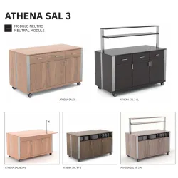 NEUTRAL MODULE WITH A DOOR ATHENA SAL N3