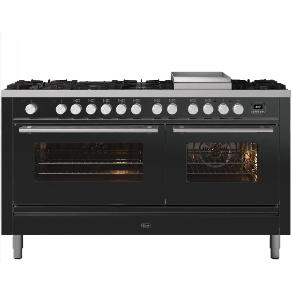 Range cooker with oven Professional Plus 150 cm P15FWE3 9 burners with fry top