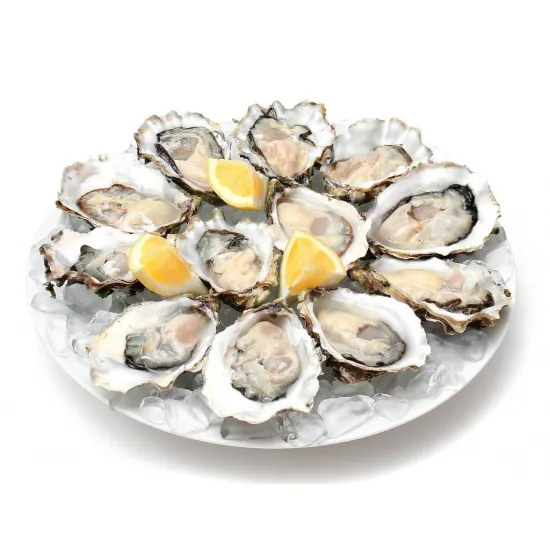 Ice makers CD Diamond Ice