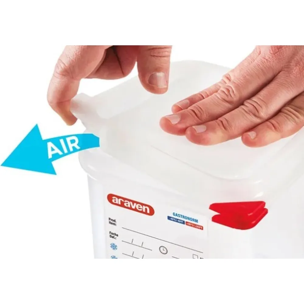 GN1/9 H-100 mm container with lid