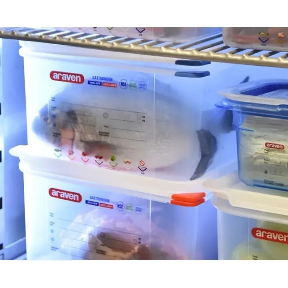 GN1/9 H-100 mm container with lid