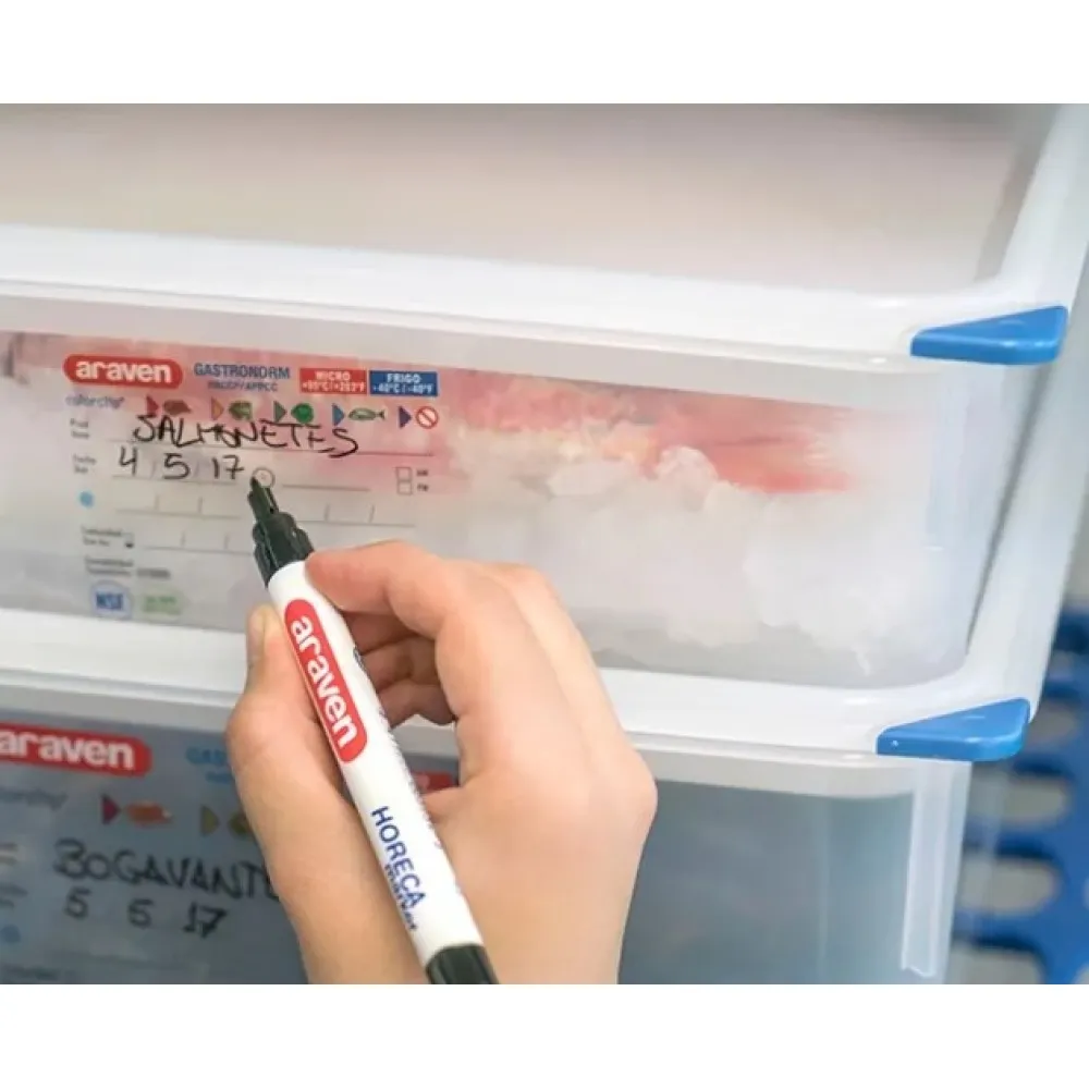 GN1/9 H-100 mm container with lid