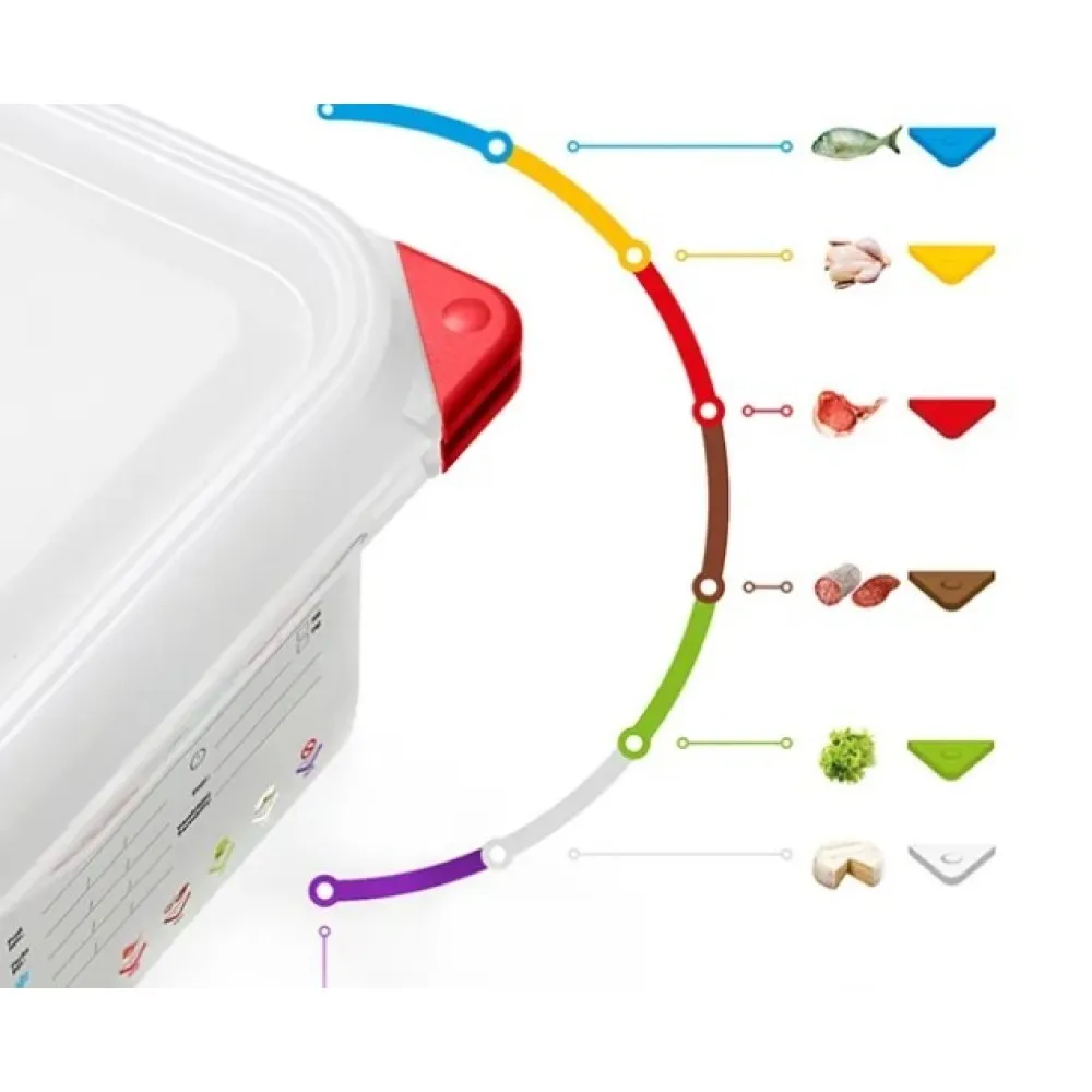 GN1/9 H-100 mm container with lid