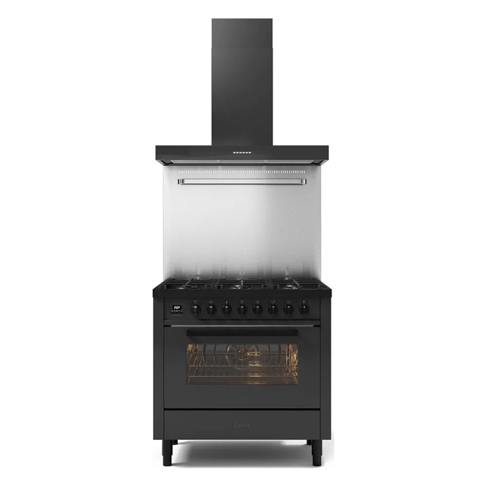 Range Cooker with oven Pro Line 90 cm L09-GRD/L09-MGD 6 burners