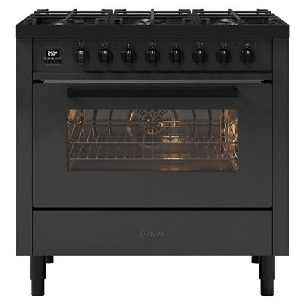 Range Cooker with oven Pro Line 90 cm L09-GRD/L09-MGD 6 burners