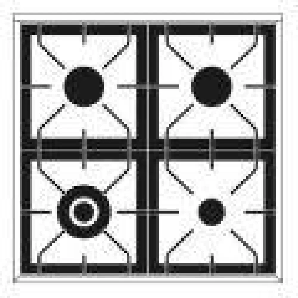 Cooker with oven Professional Plus 60 cm P06WE3 4 burners