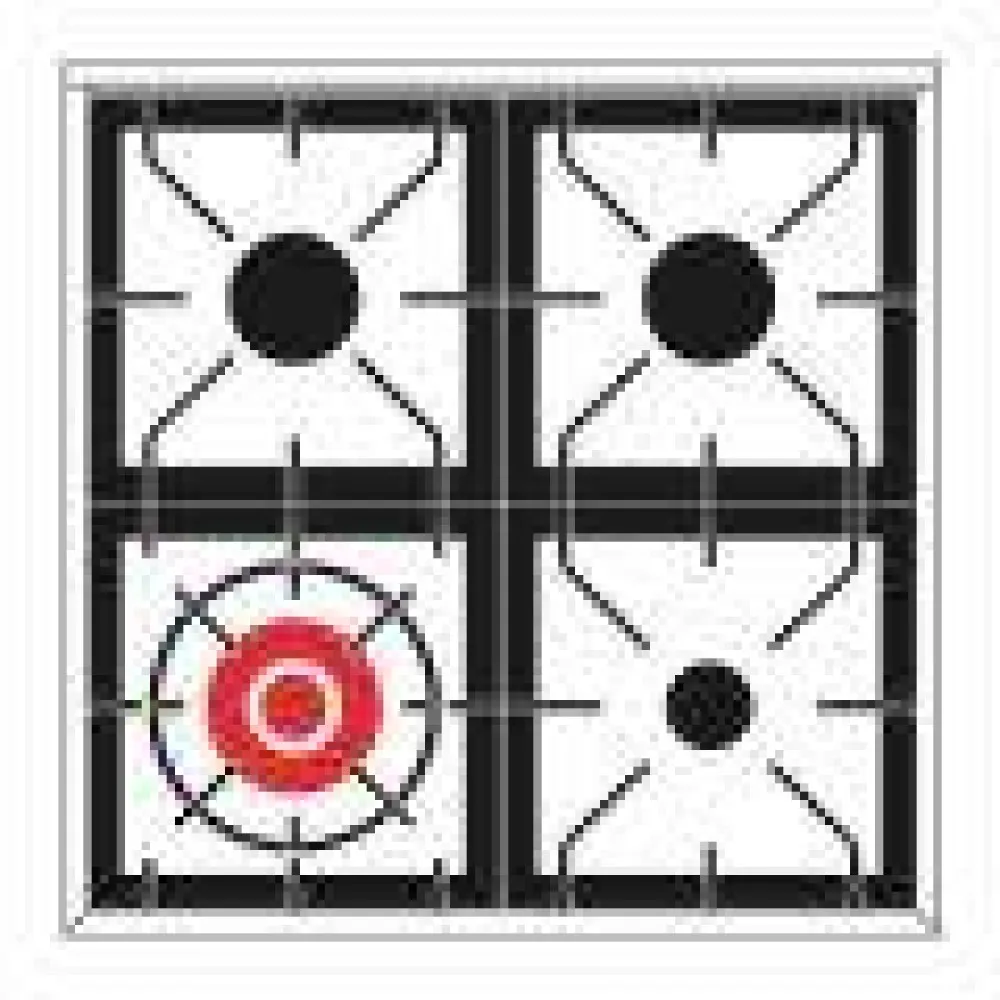 Cooker with oven Professional Plus 60 cm P06WE3 4 burners