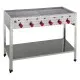 Gas combi stand grill S6