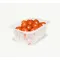 ORVED AG38 Vacuum Trays