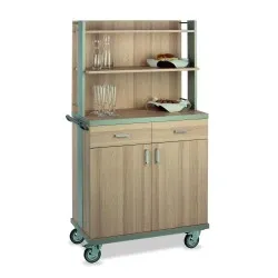 WAITERS STATION ON CASTORS ALKOR2AP B/R