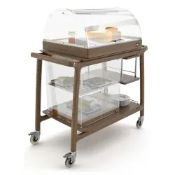 SERVICE TROLLEY WITH REFRIGERATED DISPLAY CASE ARIANNA BREAK