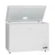 Chest freezer CF 300 W