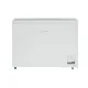 Chest freezer CF 300 W