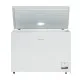Chest freezer CF 300 W