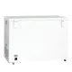 Chest freezer CF 300 W