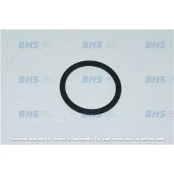OR GASKET DELONGHI 5313238581