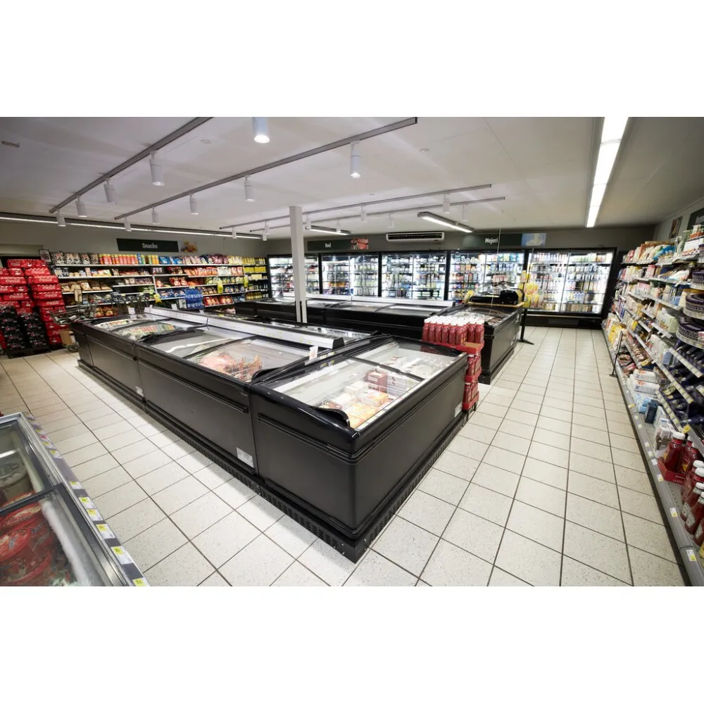 Supermarket Cooler-Freezer 584L