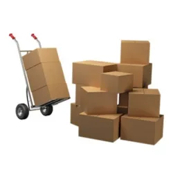 Packing boxes, bags, disposable tableware
