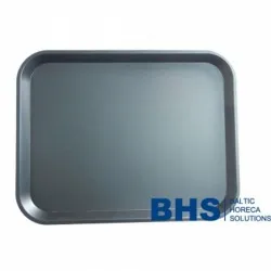 Tray 456x356 mm