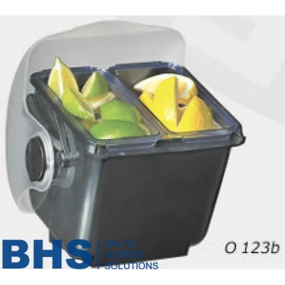 Mini organizer O123Y with place for ice