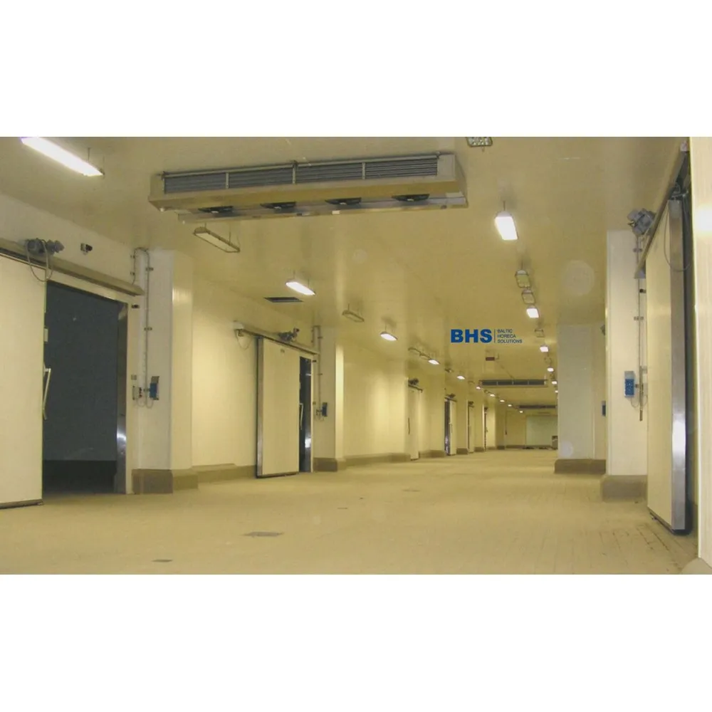 Freezers chamber 2700 / 2700 / 2200 - 11.86 m³