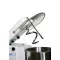 PIZZA GROUP 33 L Dough Mixer