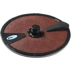 Abrasive paper disk PTA