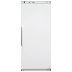 Freezer ventilated Eco Line, white G-EFV600