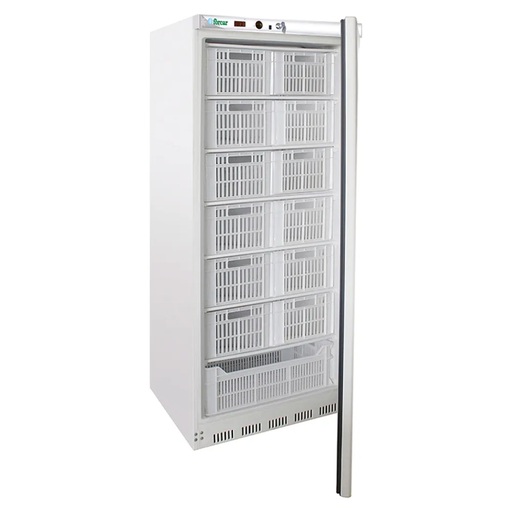 Freezer Eco Line G-EF600SSCAS