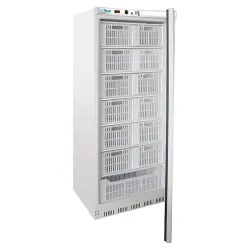 Freezer Eco Line G-EF600SSCAS