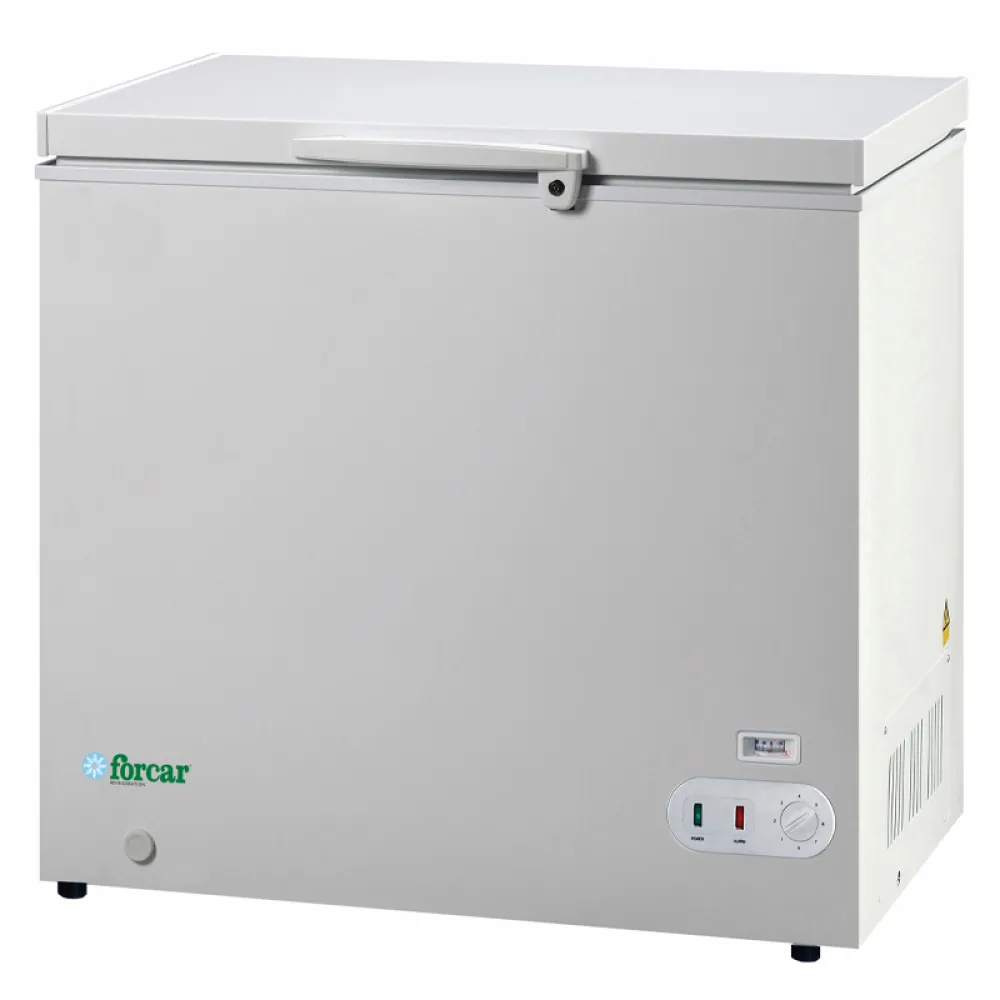Static deep freezer Eco Line G-BD205S
