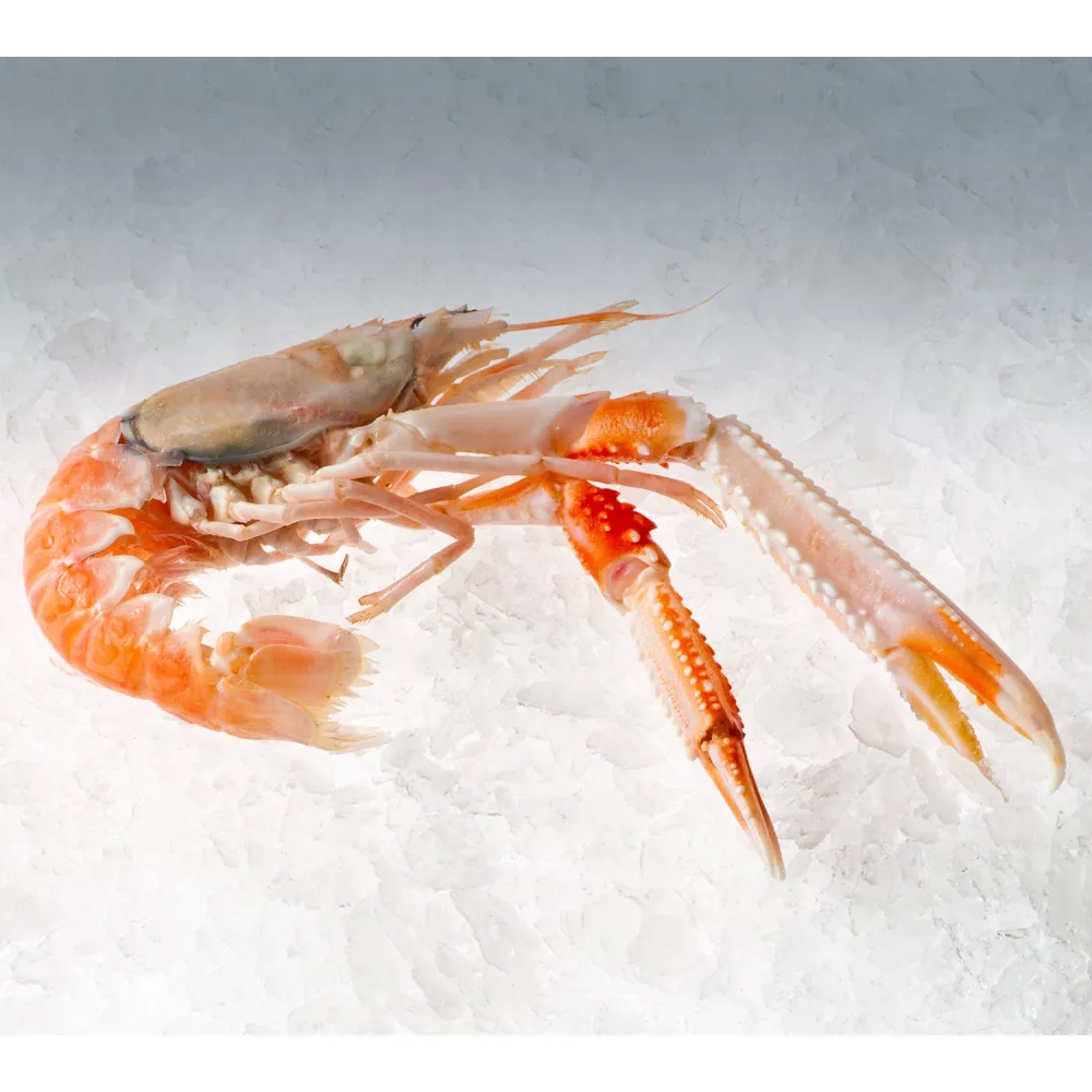 Ice maker KFE1500, 1500kg/24h