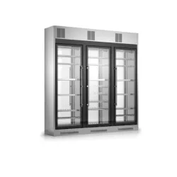 Wine display cooler WL6/326P 260h