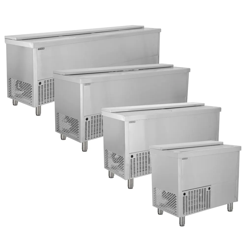 Bottle chest cooler BHC250X1