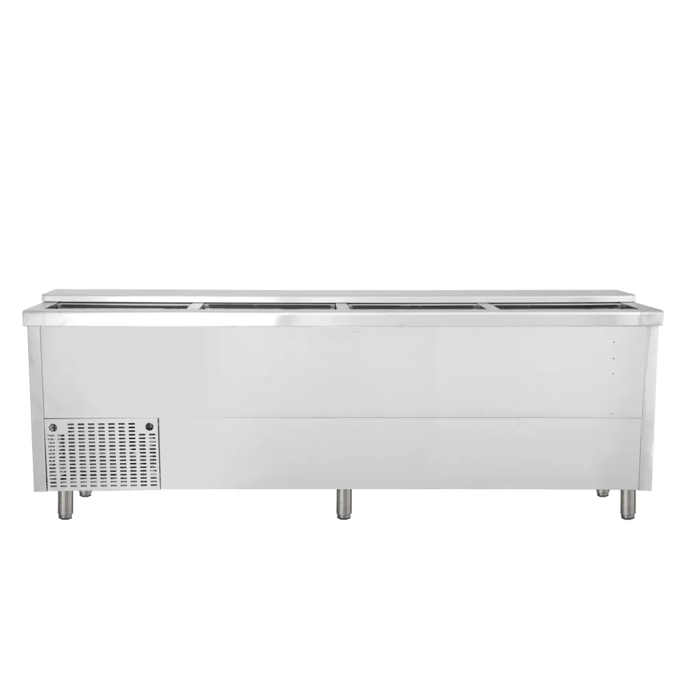 Bottle chest cooler BHC250X1