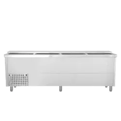 Bottle chest cooler BHC250X1