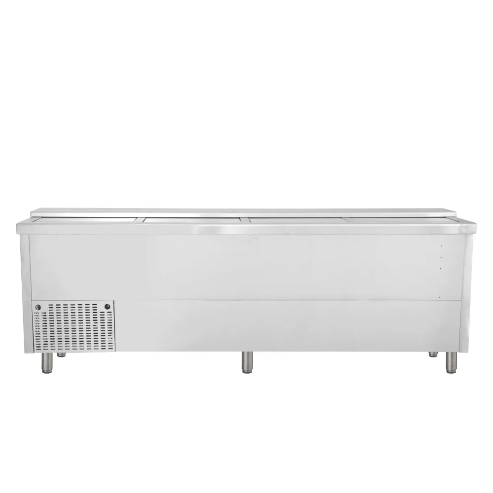 Bottle chest cooler BHC250X1