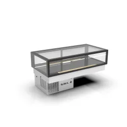 Refrigerated Display Case INTEGRO DROP-IN DP-120-20