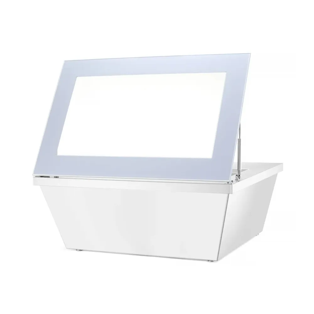 Commercial Stainless Steel Freezer with Adjustable Temperature