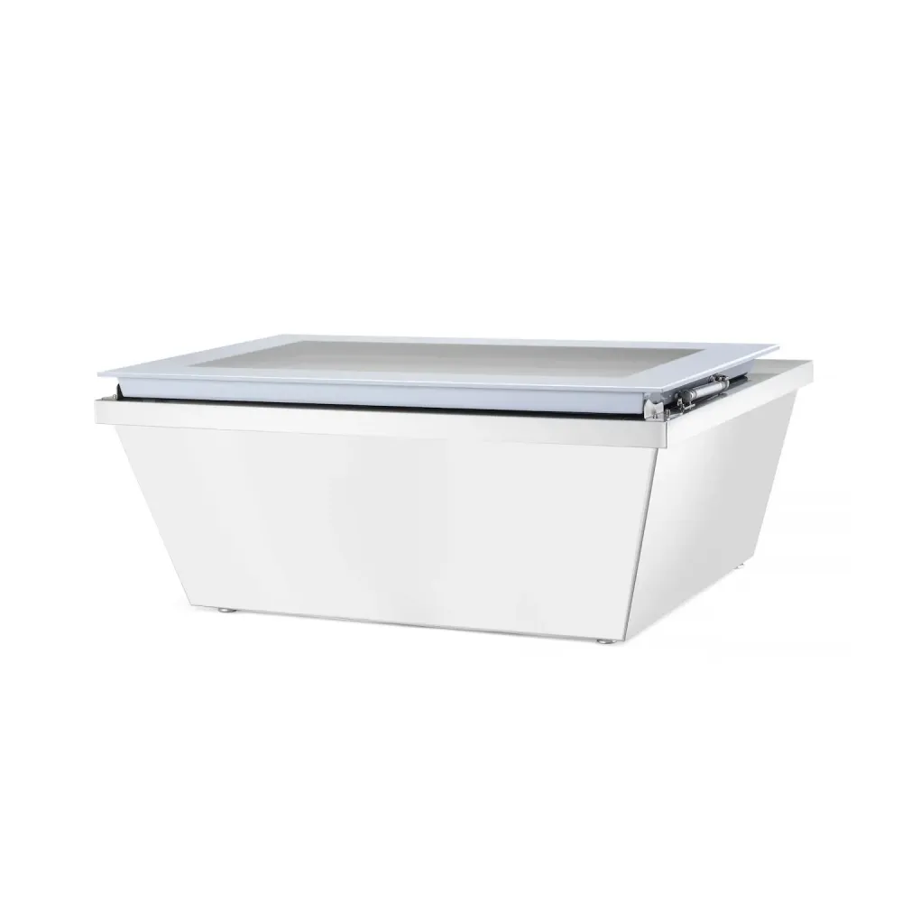 Commercial Stainless Steel Freezer with Adjustable Temperature