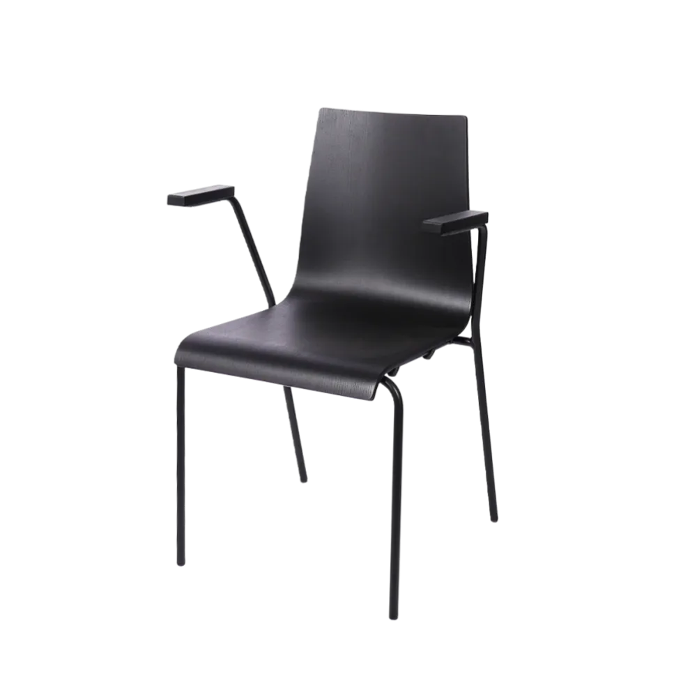 Chair TEXAS 0164 in Black Steel and Polywood