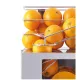FRUCOSOL Automatic Juicer F50C for Fresh Citrus Juice