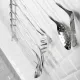 Stalgast Monoblock Skimmer – 400 mm One-Piece Stainless Steel