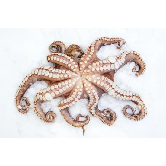 Ice Generator GR / KS Granular Ice