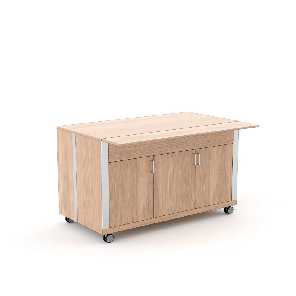 NEUTRAL MODULE WITH A DOOR ATHENA SAL N3