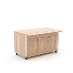 NEUTRAL MODULE WITH A DOOR ATHENA SAL N3