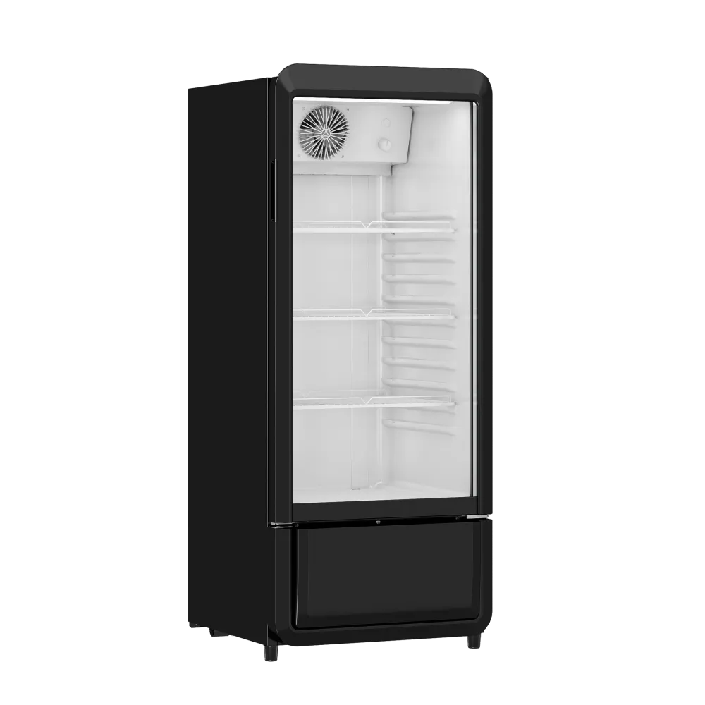 Refrigerator cabinet 178L DC200BD