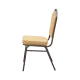 Banquet Chair ALICANTE MODERN AM550