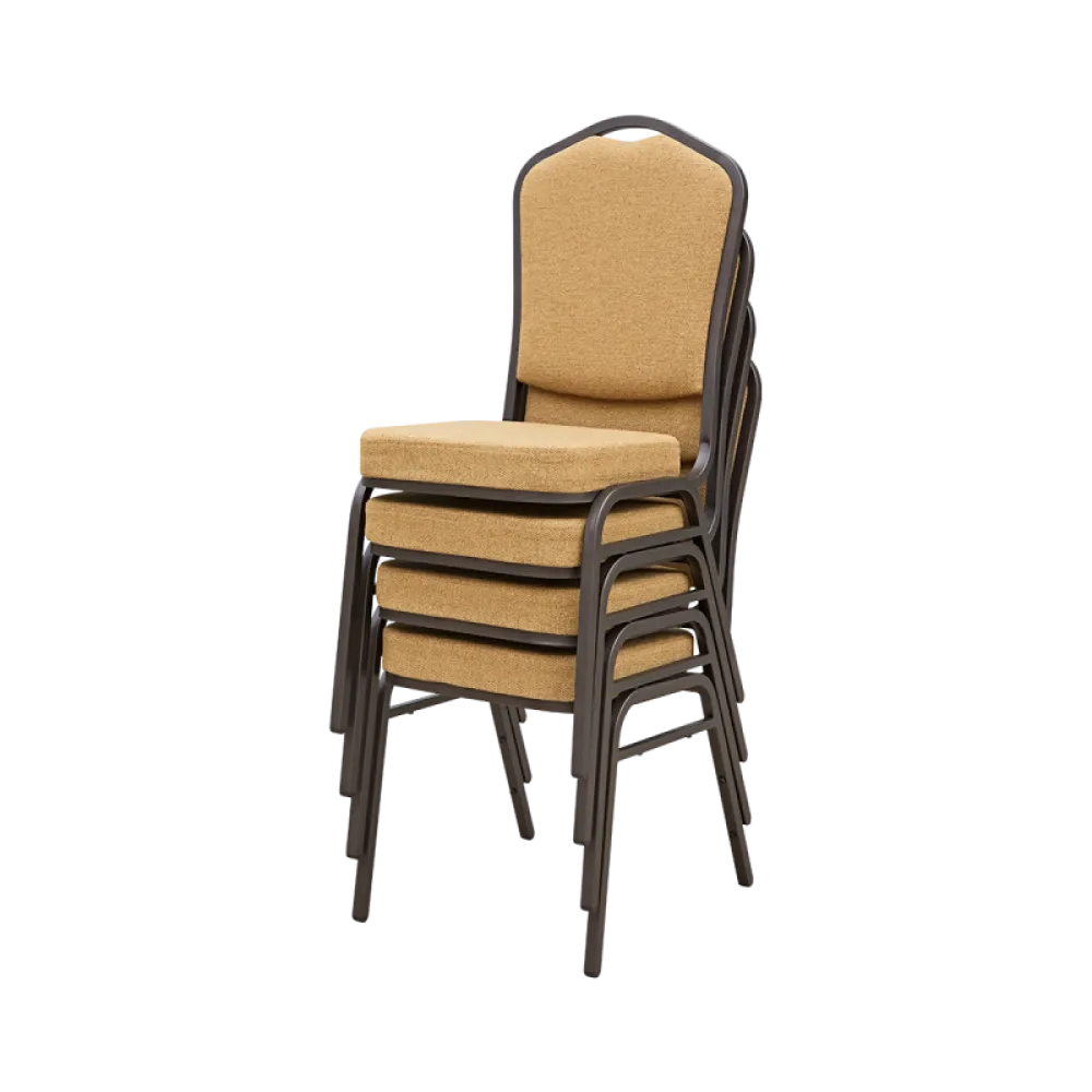 Banquet Chair ALICANTE MODERN AM550